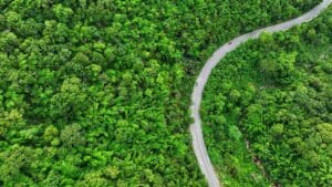 Aerial view of a winding road cutting through a lush, dense green forest showcases how emerging sustainable building practices harmonize with nature. The road curves smoothly, bordered by vibrant trees and foliage, creating a striking contrast with the natural landscape.