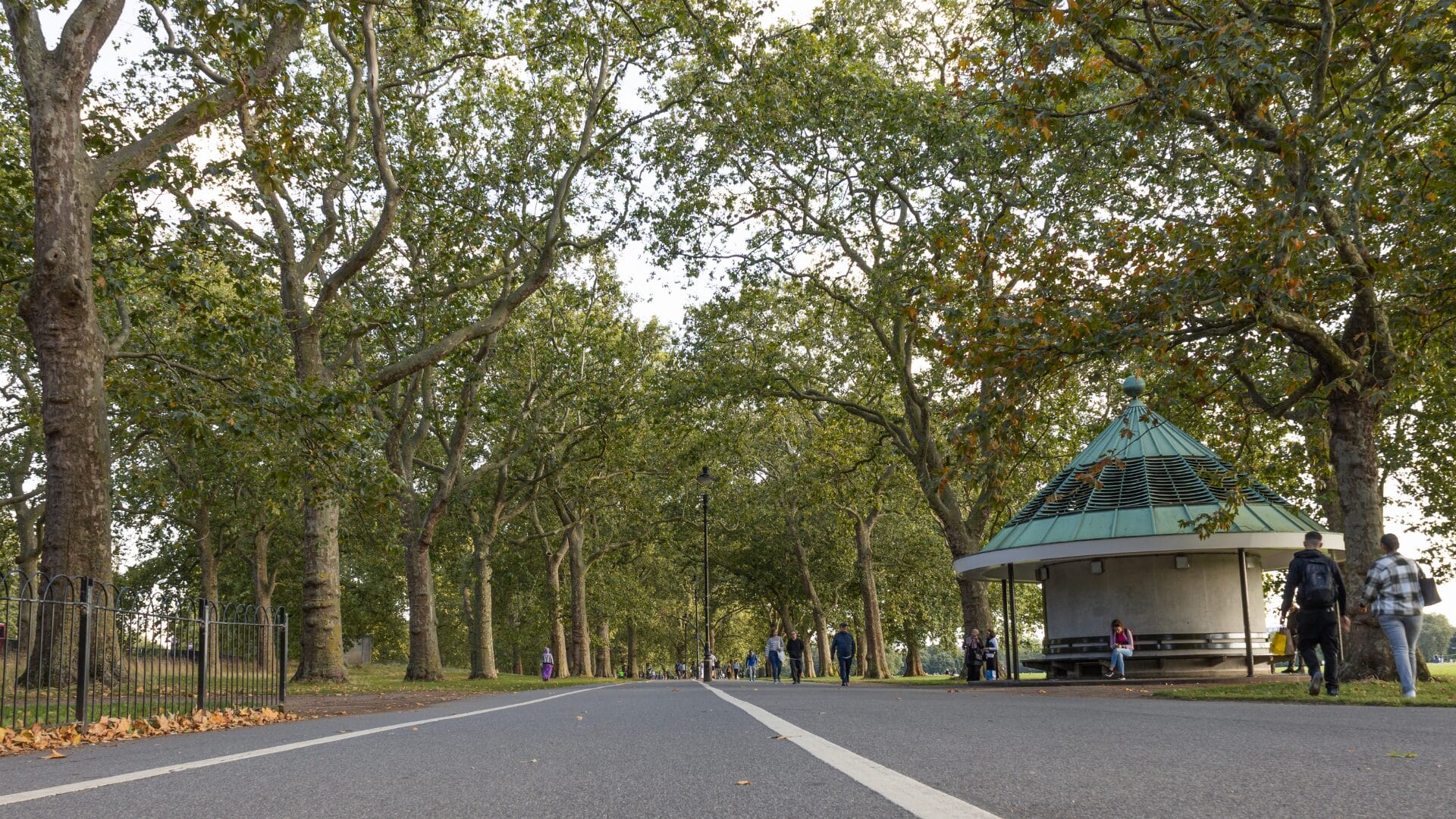 Urban Canopies Blog - Conplant Pty Ltd Wide path beneath urban canopy, with people walking and a shelter on the right.